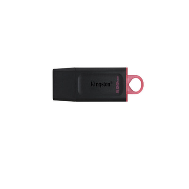 KINGSTON 256gb Dtx Pendrive DTXG2/256GB-image 1